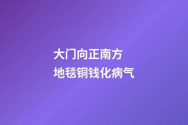 大门向正南方 地毯铜钱化病气